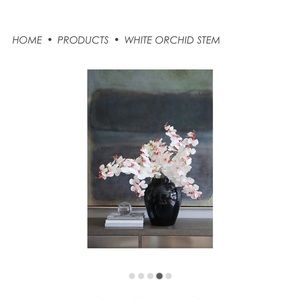 White orchid stems, 40 inches